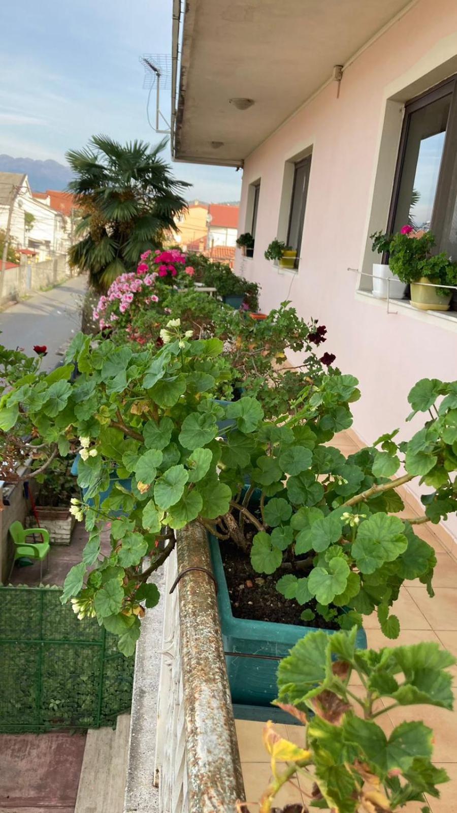 Blissful Hostel Shkodër Extérieur photo